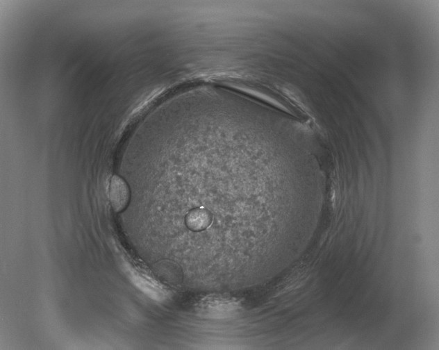 X0000081280491200701181747