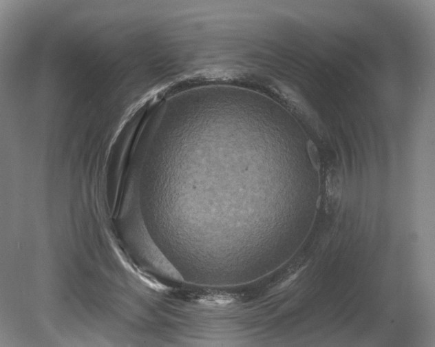 X0000081280492200701181747