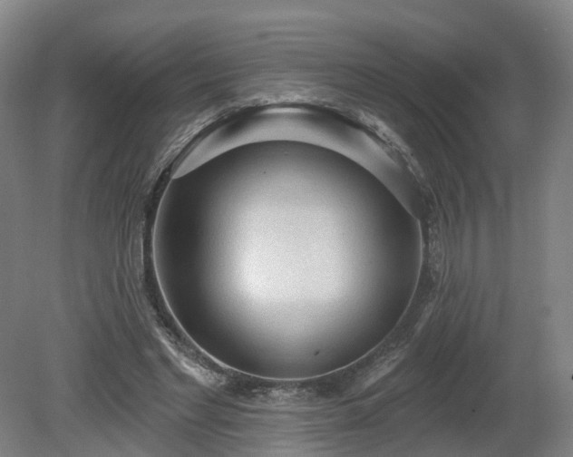 X0000081280493200701181747