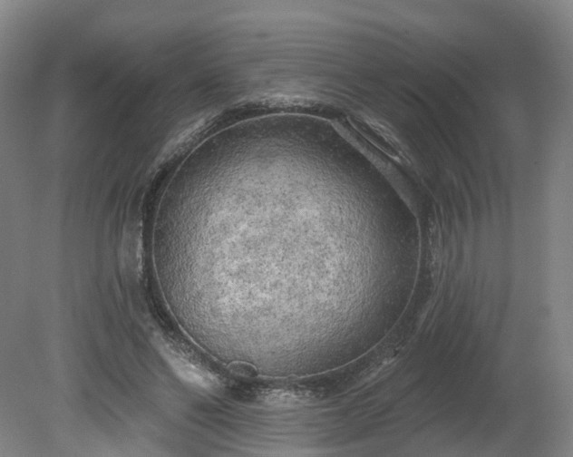 X0000081280494200701181747