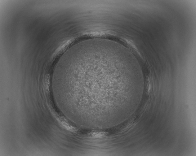 X0000081280495200701181747