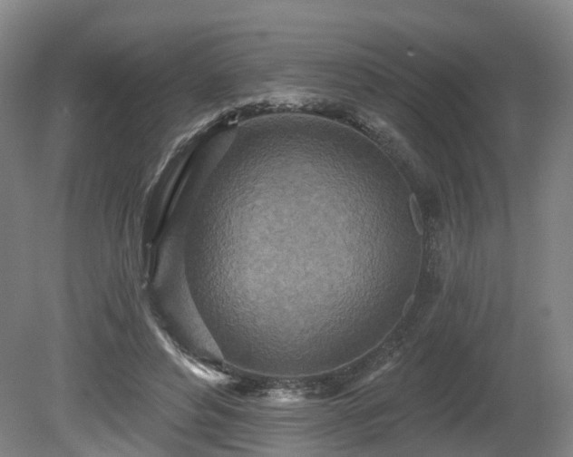 X0000081280496200701181747