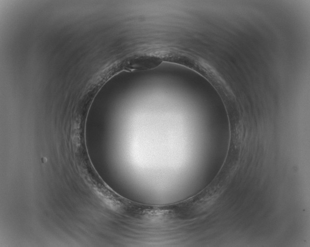 X0000081280497200701181747