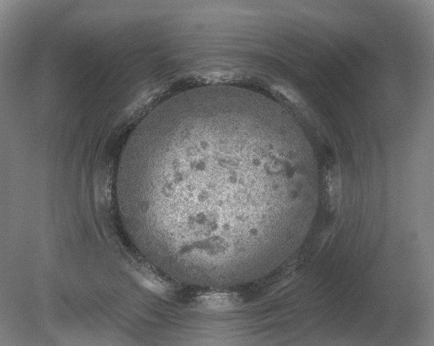 X0000081280499200701181747