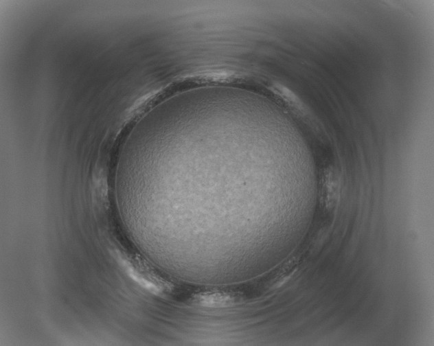 X0000081280500200701181746