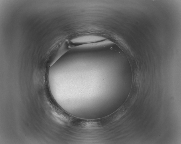 X0000081280501200701181746