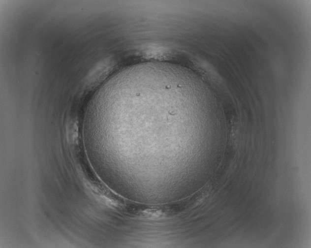 X0000081280502200701181746