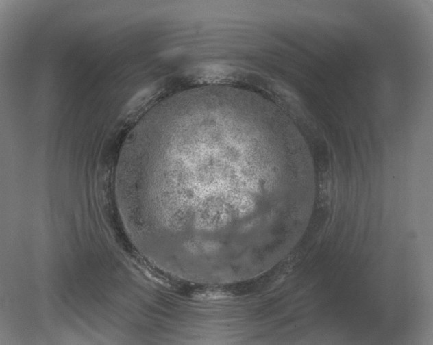 X0000081280503200701181746