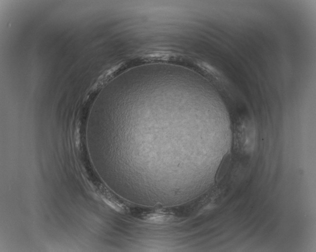 X0000081280504200701181746