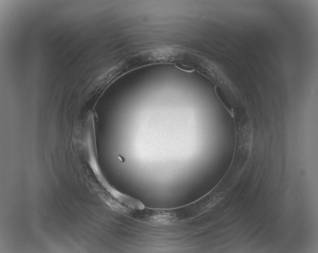 X0000081280505200701181746