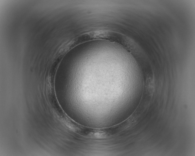 X0000081280506200701181746