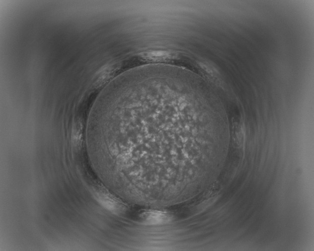 X0000081280507200701181746