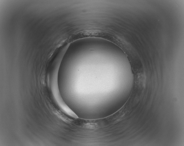 X0000081280508200701181746