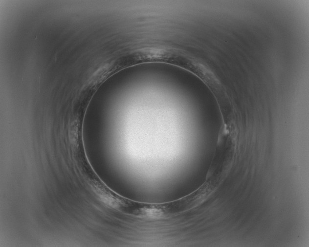 X0000081280509200701181746