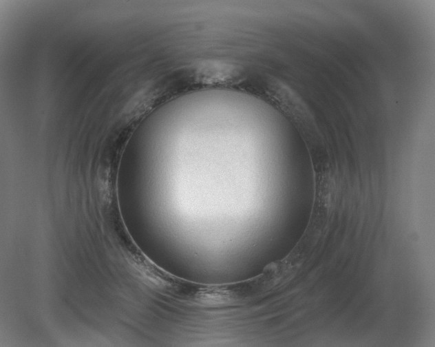 X0000081280510200701181746