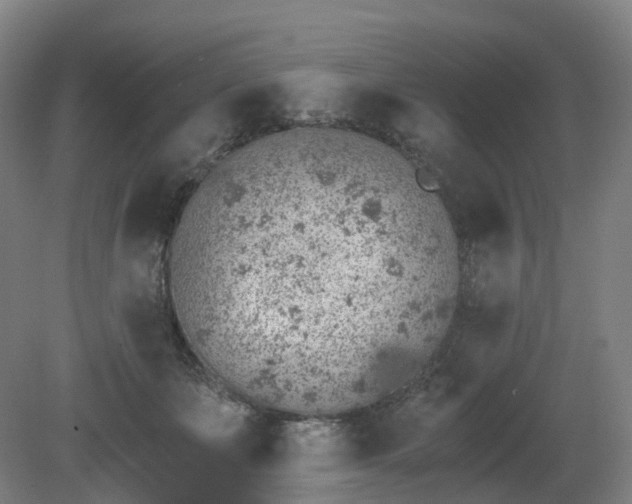 X0000081280511200701181746