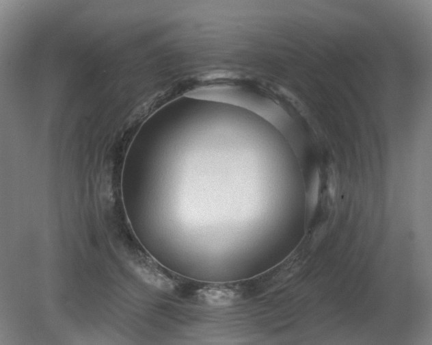 X0000081280512200701181746