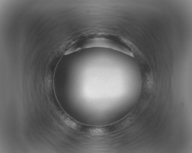 X0000081280513200701181746