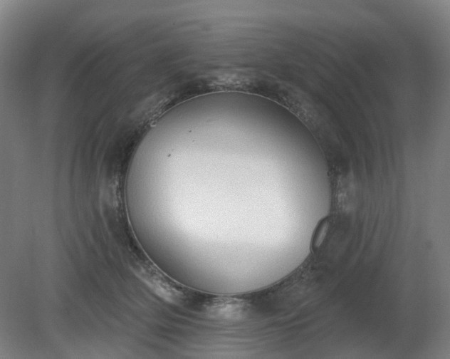 X0000081280514200701181746