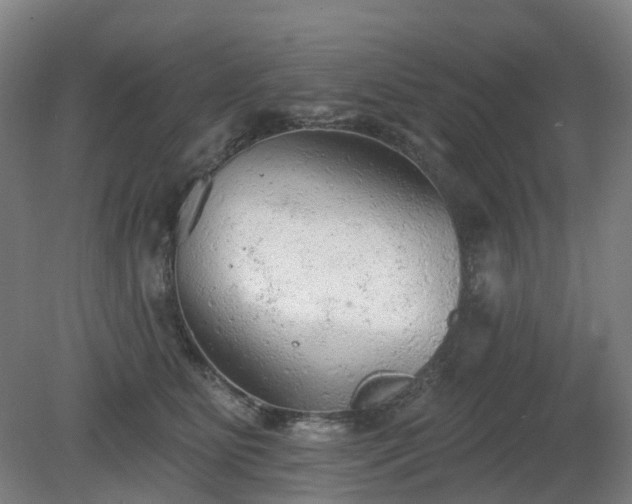 X0000081280515200701181746