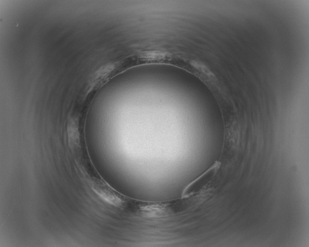 X0000081280516200701181746