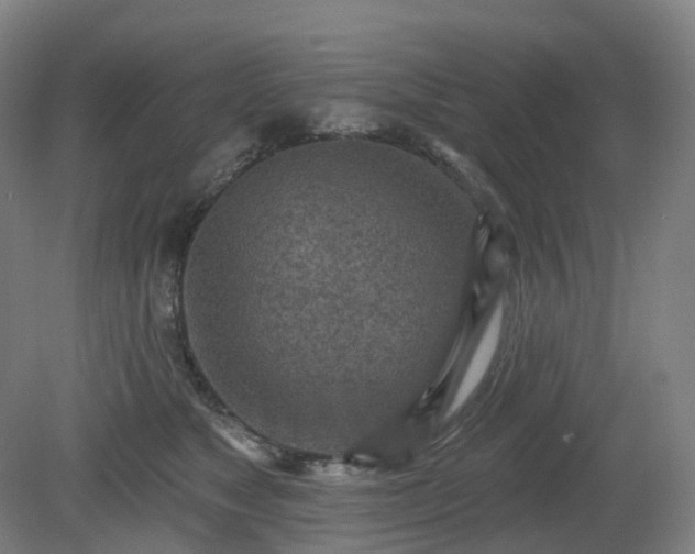 X0000081280517200701181746