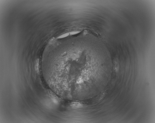 X0000081280519200701181746