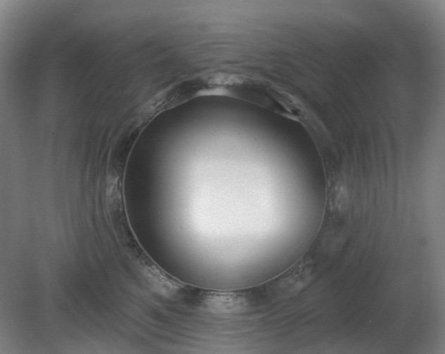 X0000081280521200701181746