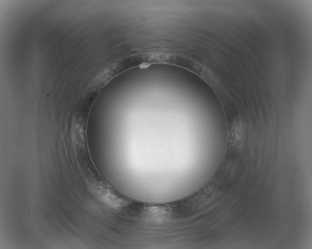 X0000081280522200701181746