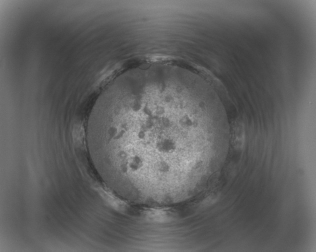 X0000081280523200701181746