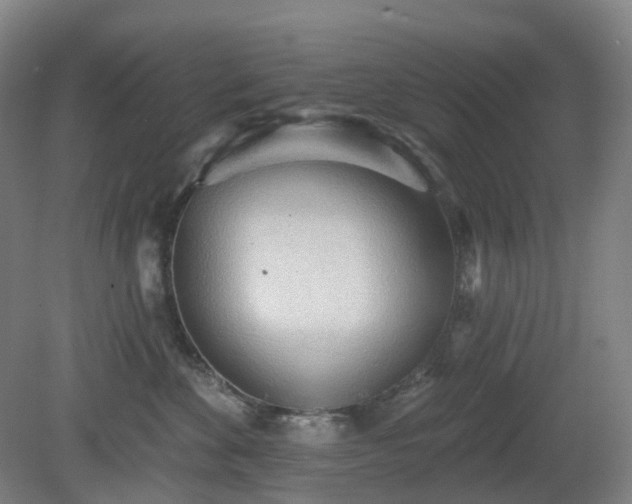 X0000081280524200701181746