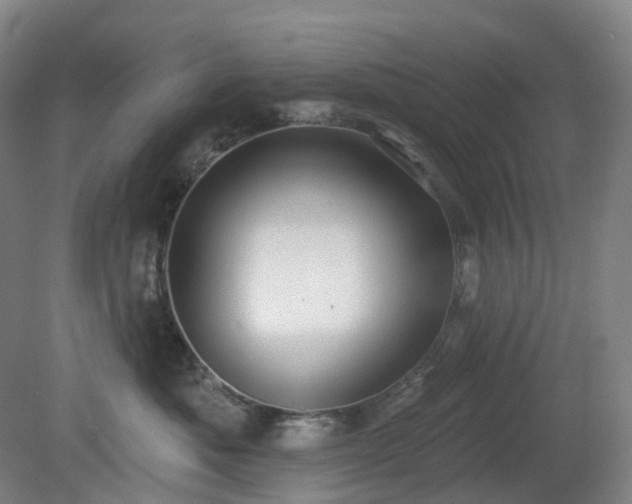 X0000081280525200701181746