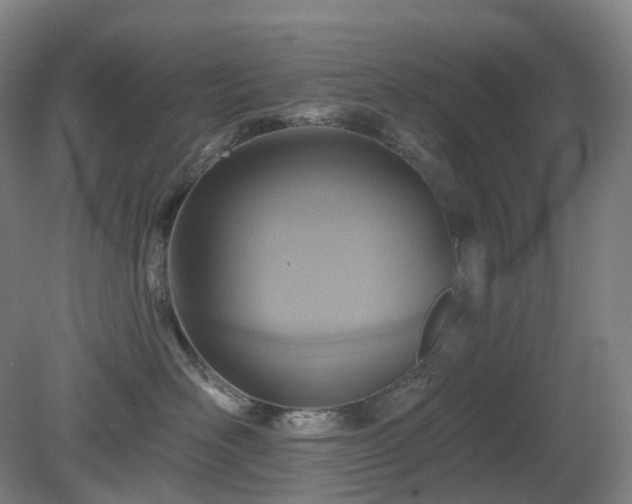 X0000081280526200701181746