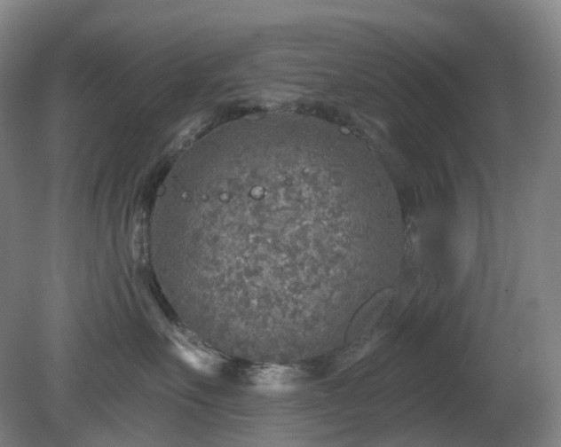 X0000081280527200701181746