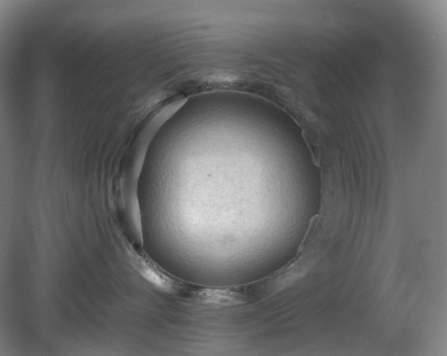 X0000081280528200701181746