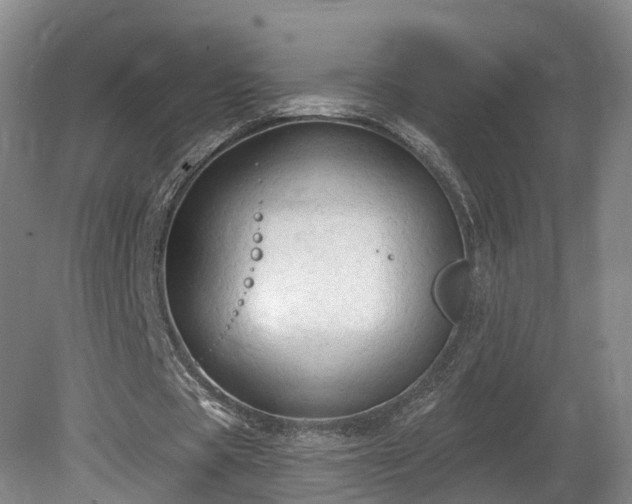 X0000081280529200701181745