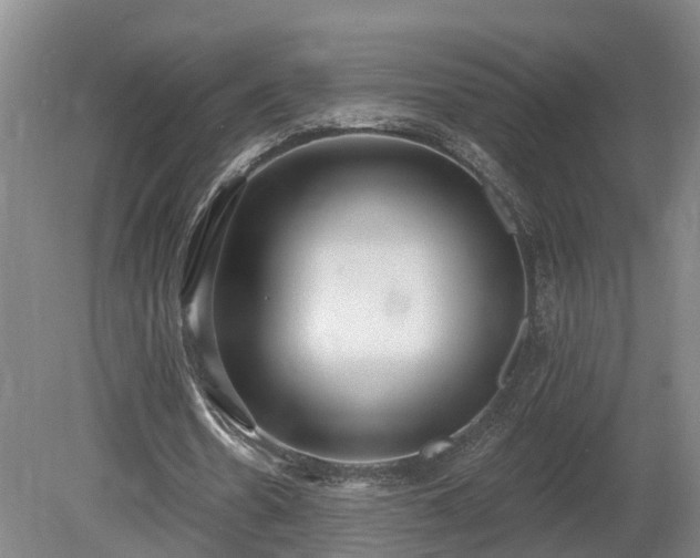 X0000081280530200701181745