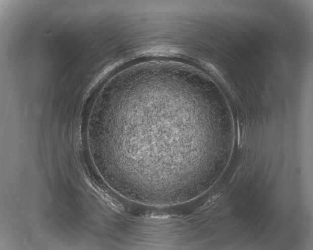 X0000081280531200701181745