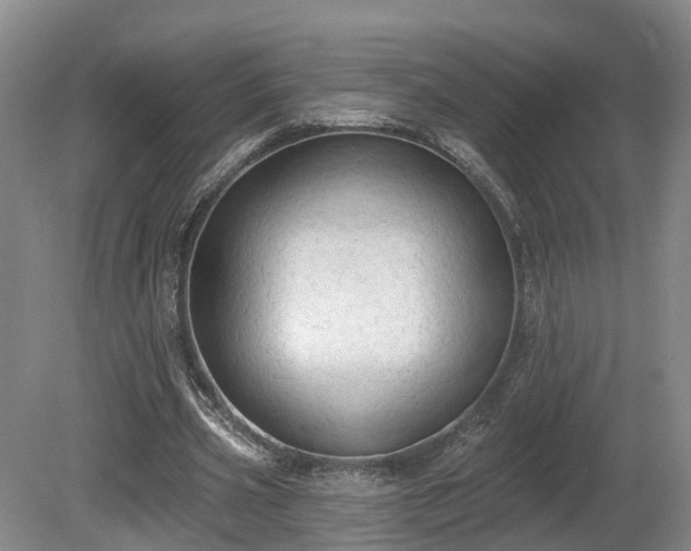 X0000081280533200701181745