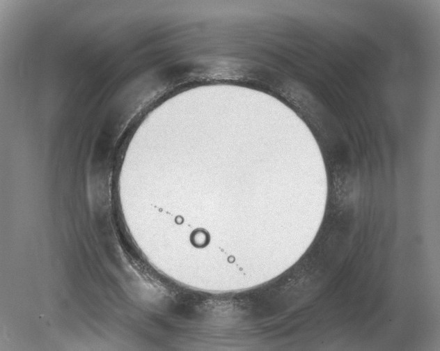 X0000081280534200701181745