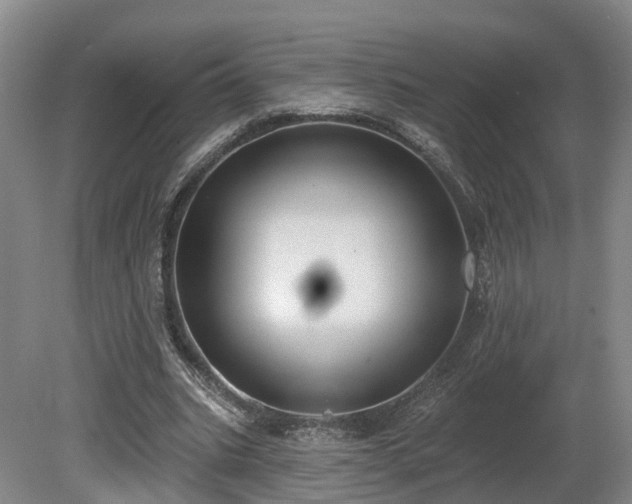 X0000081280535200701181745