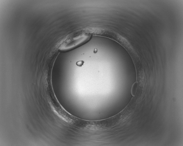 X0000081280538200701181745