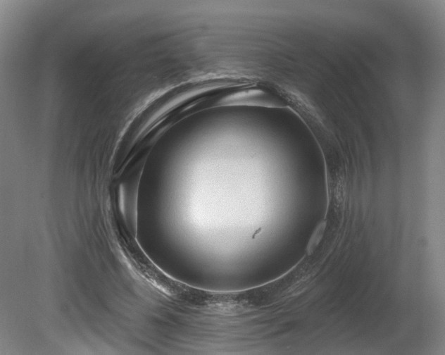 X0000081280540200701181745