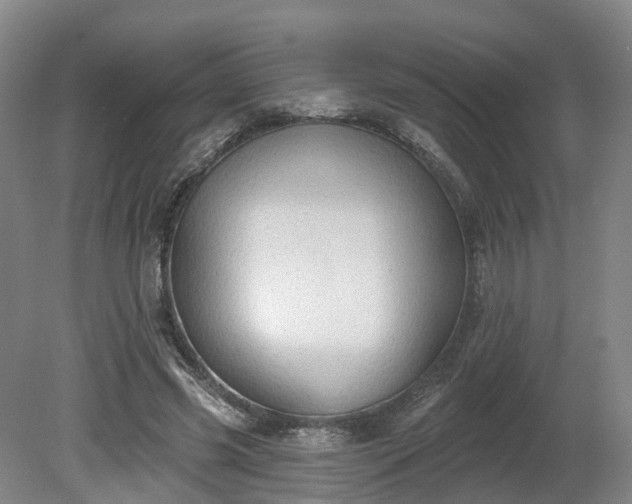 X0000081280541200701181745