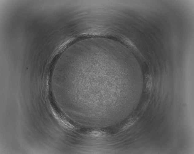 X0000081280542200701181745