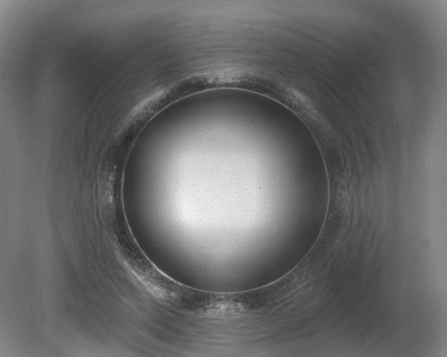 X0000081280543200701181745