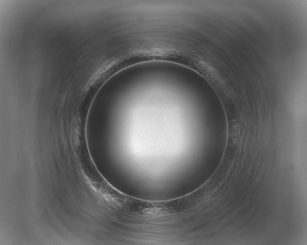 X0000081280544200701181745