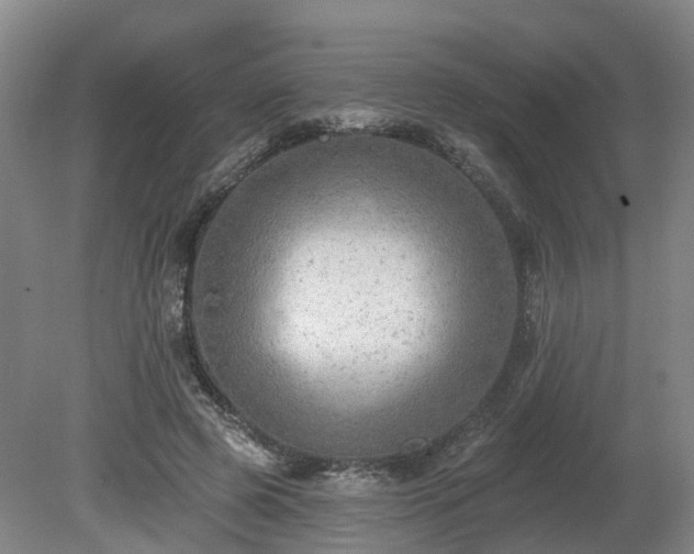 X0000081280545200701181745