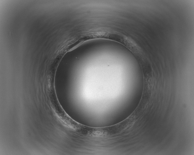 X0000081280546200701181745