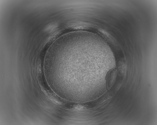 X0000081280547200701181746